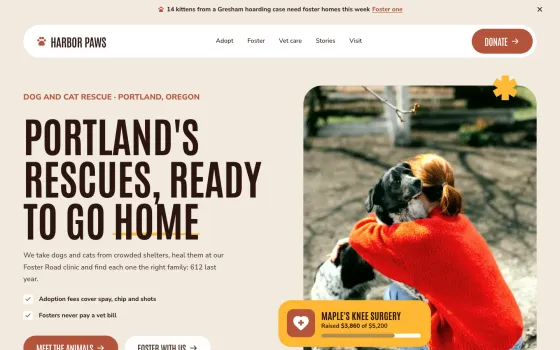 Harbor Paws website template (Animal rescue)